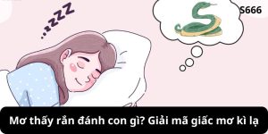 Giới thiệu về mơ thấy rắn đánh con gì