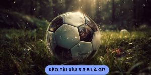 Kèo tài xỉu 3 3.5 là gì?